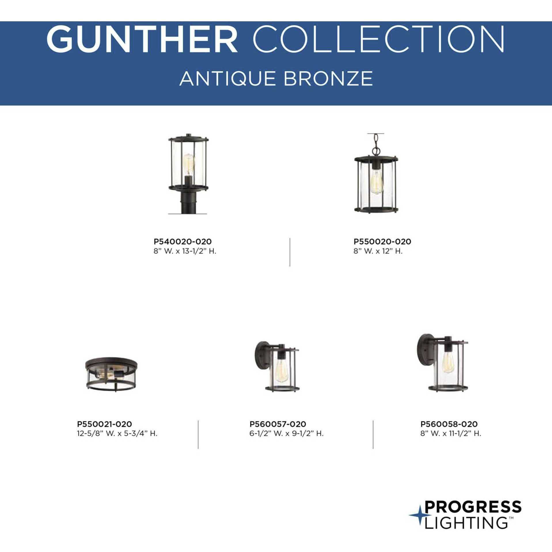 Gunther 1 Light 10 inch Antique Bronze Outdoor Wall Lantern, Medium